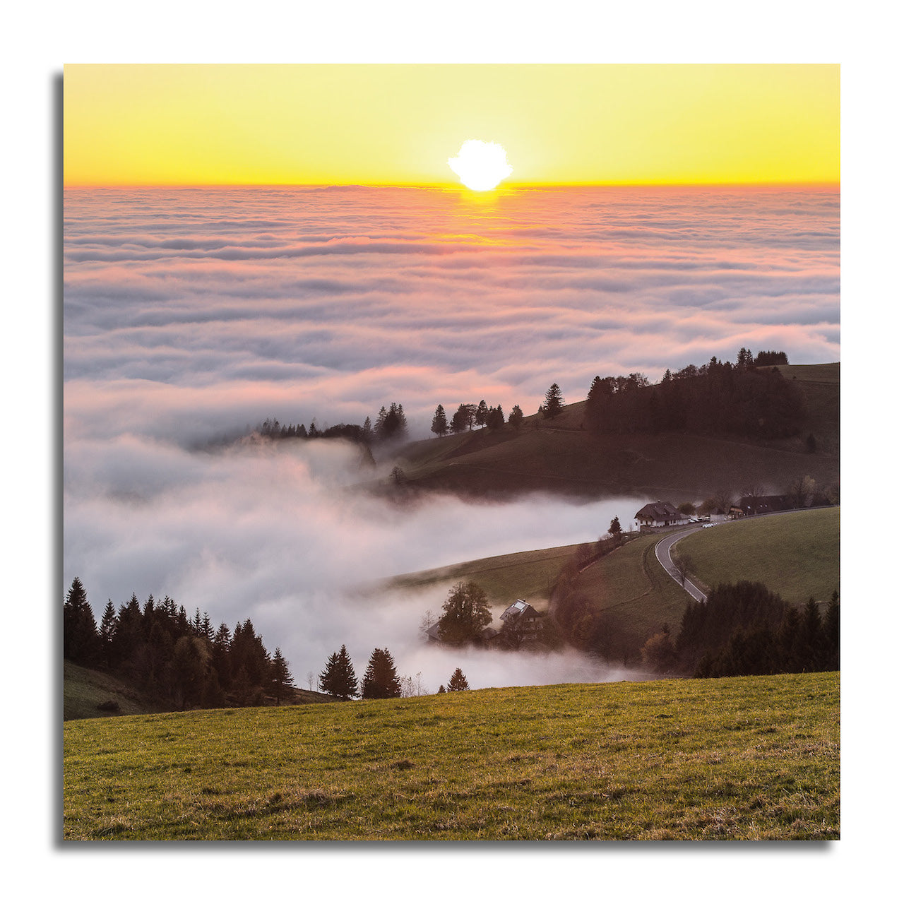 Schwarzwald Minis - 3er Pack