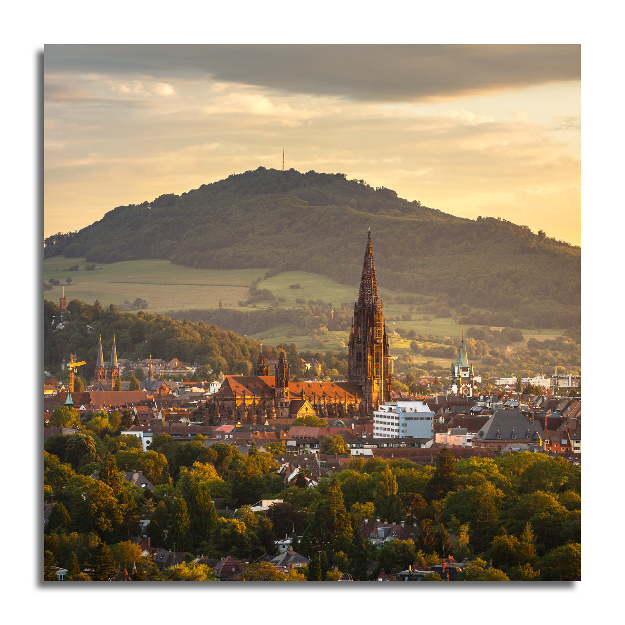 Münster Minis - 3er Pack