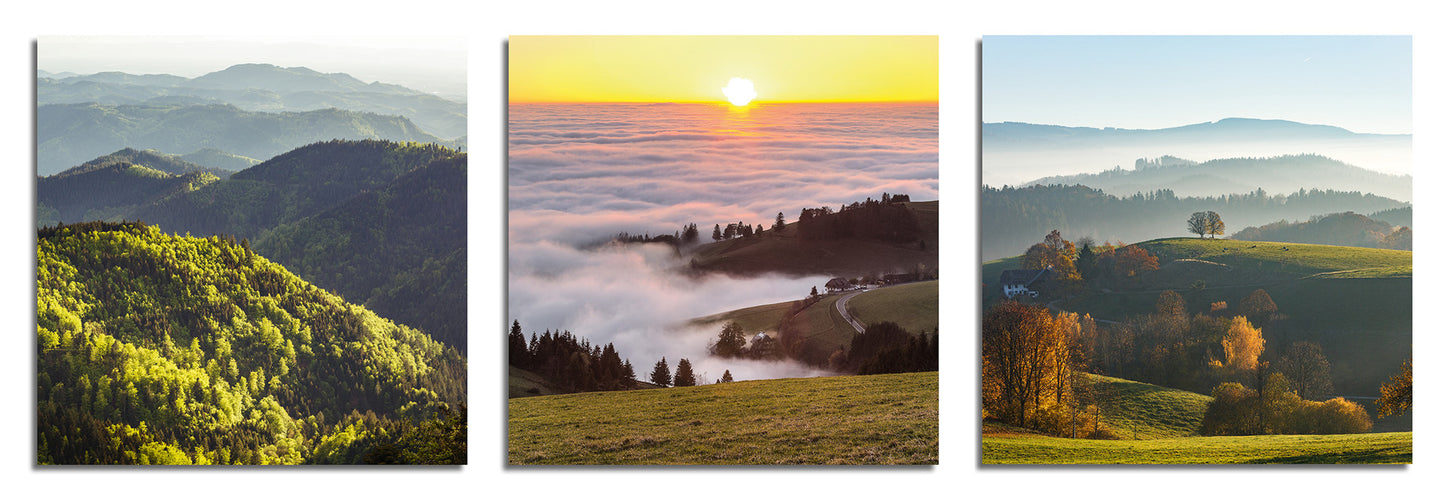 Schwarzwald Minis - 3er Pack