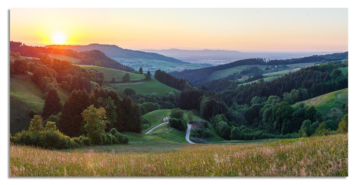 Freiburg Panorama (2:1) - Bild #11