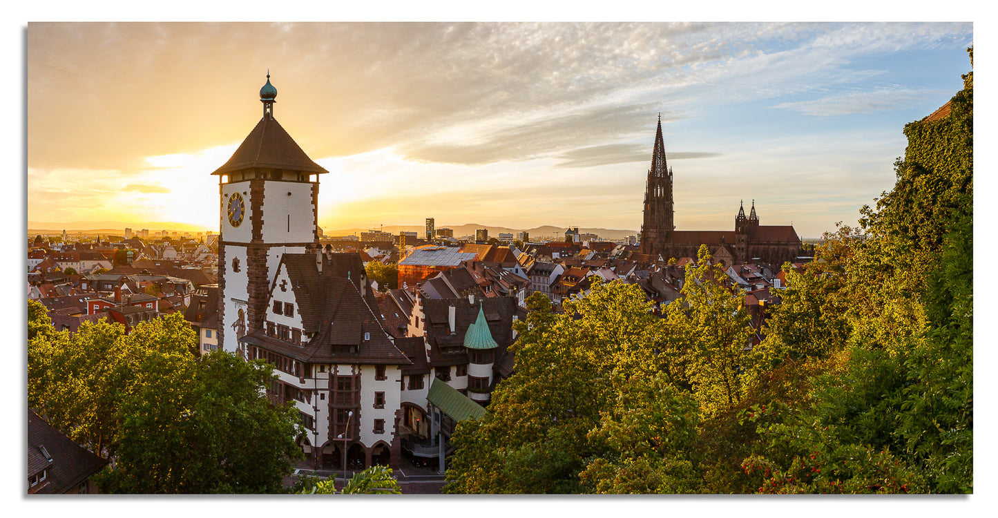 Freiburg Panorama (2:1) - Bild #2