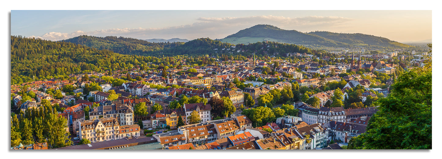 Freiburg Panorama (3:1) - Bild #3