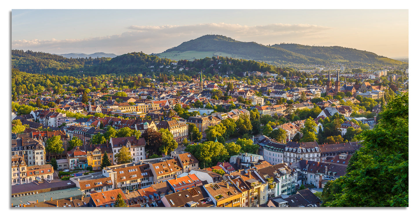 Freiburg Panorama (2:1) - Bild #3