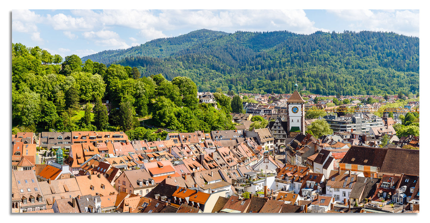 Freiburg Panorama (2:1) - Bild #4