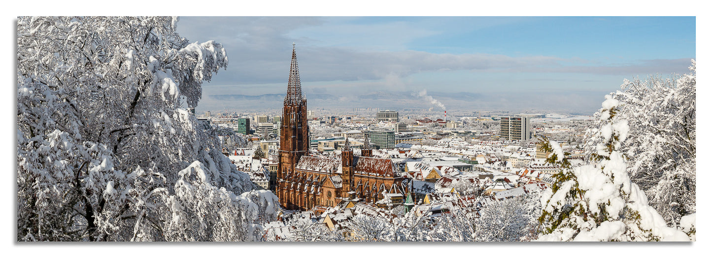 Freiburg Panorama (3:1) - Bild #6
