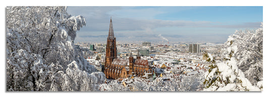 Freiburg Panorama (3:1) - Bild #6