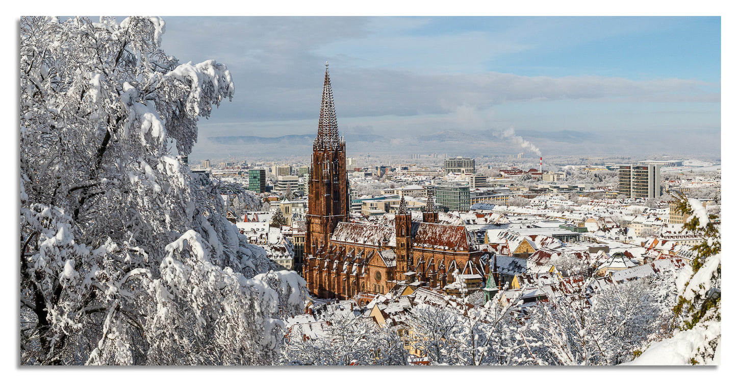 Freiburg Panorama (2:1) - Bild #6