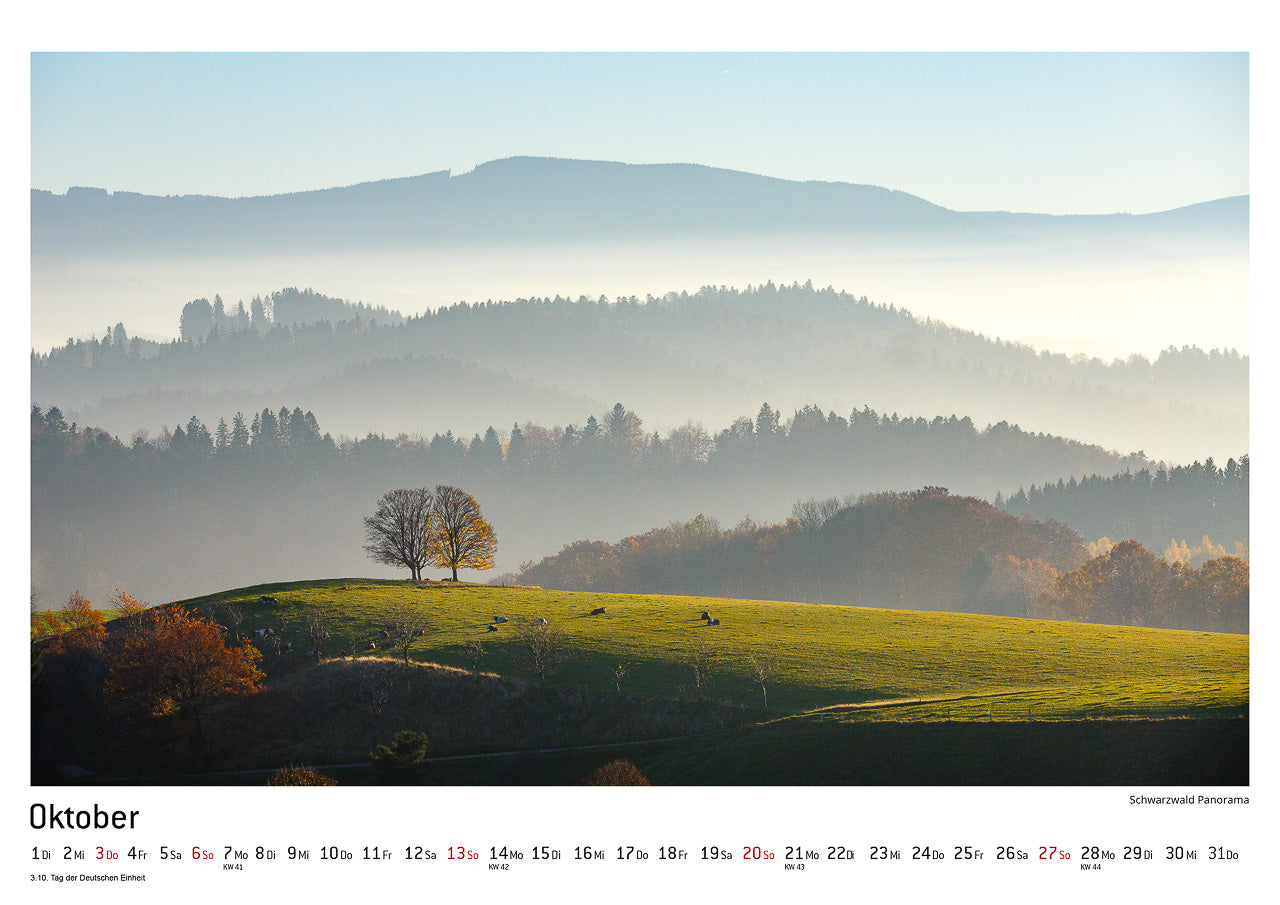 Schwarzwald Kalender 2024