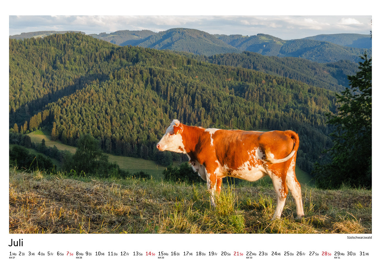 Schwarzwald Kalender 2024