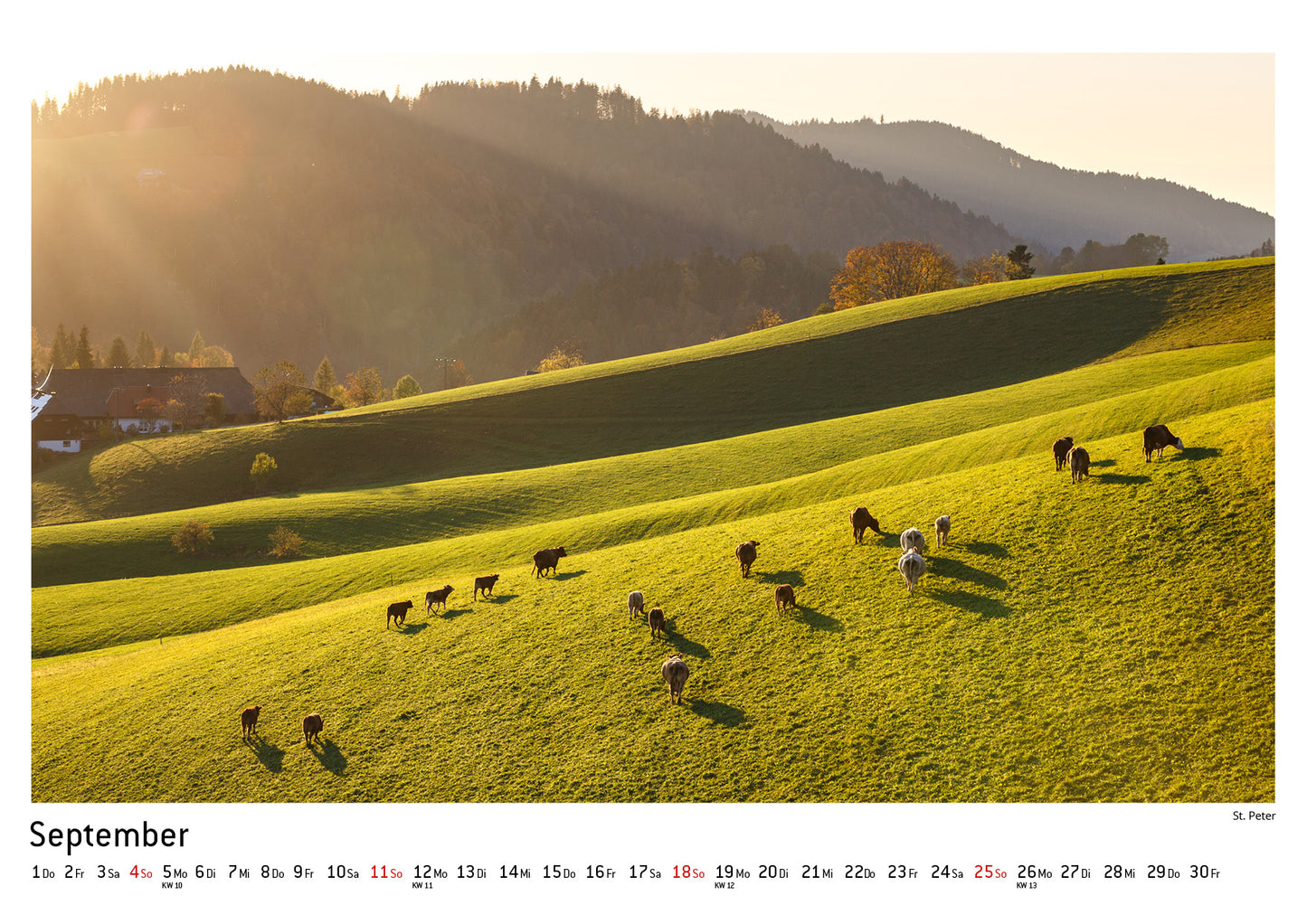 Schwarzwald Kalender 2022