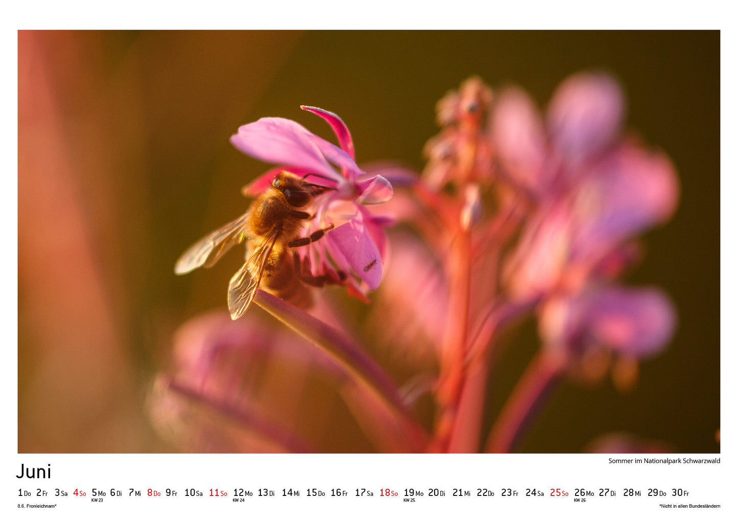 Schwarzwald Kalender 2023
