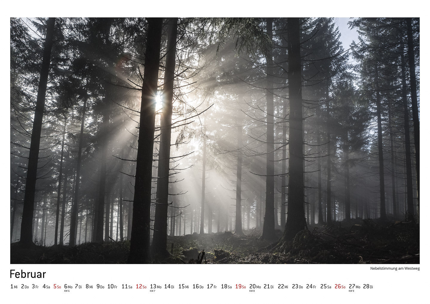 Schwarzwald Kalender 2017