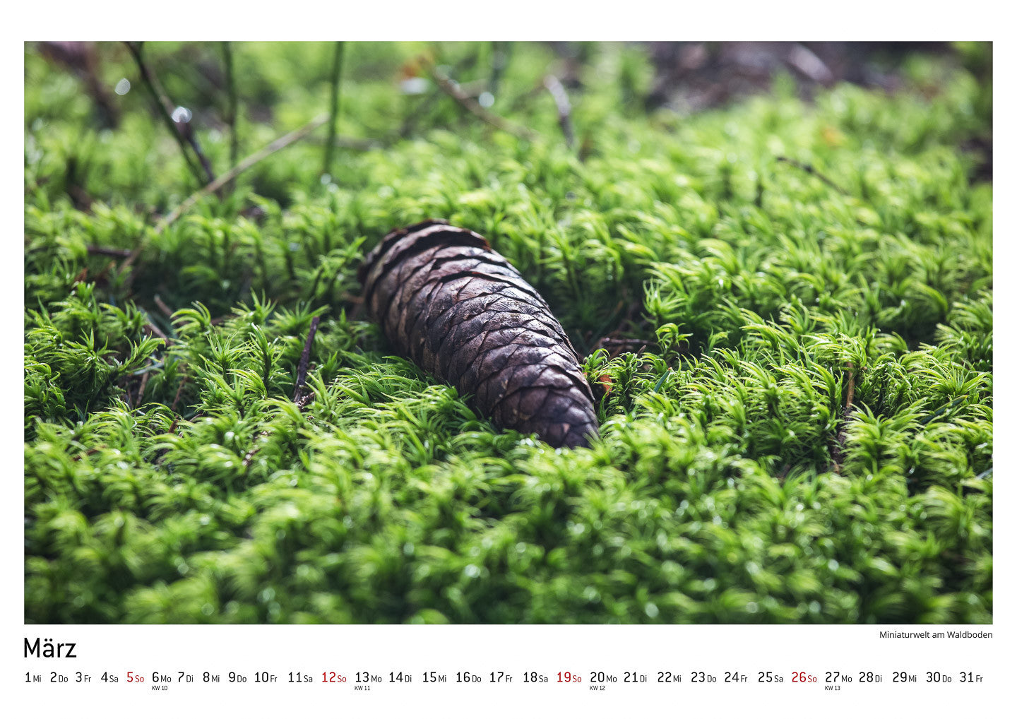 Schwarzwald Kalender 2017