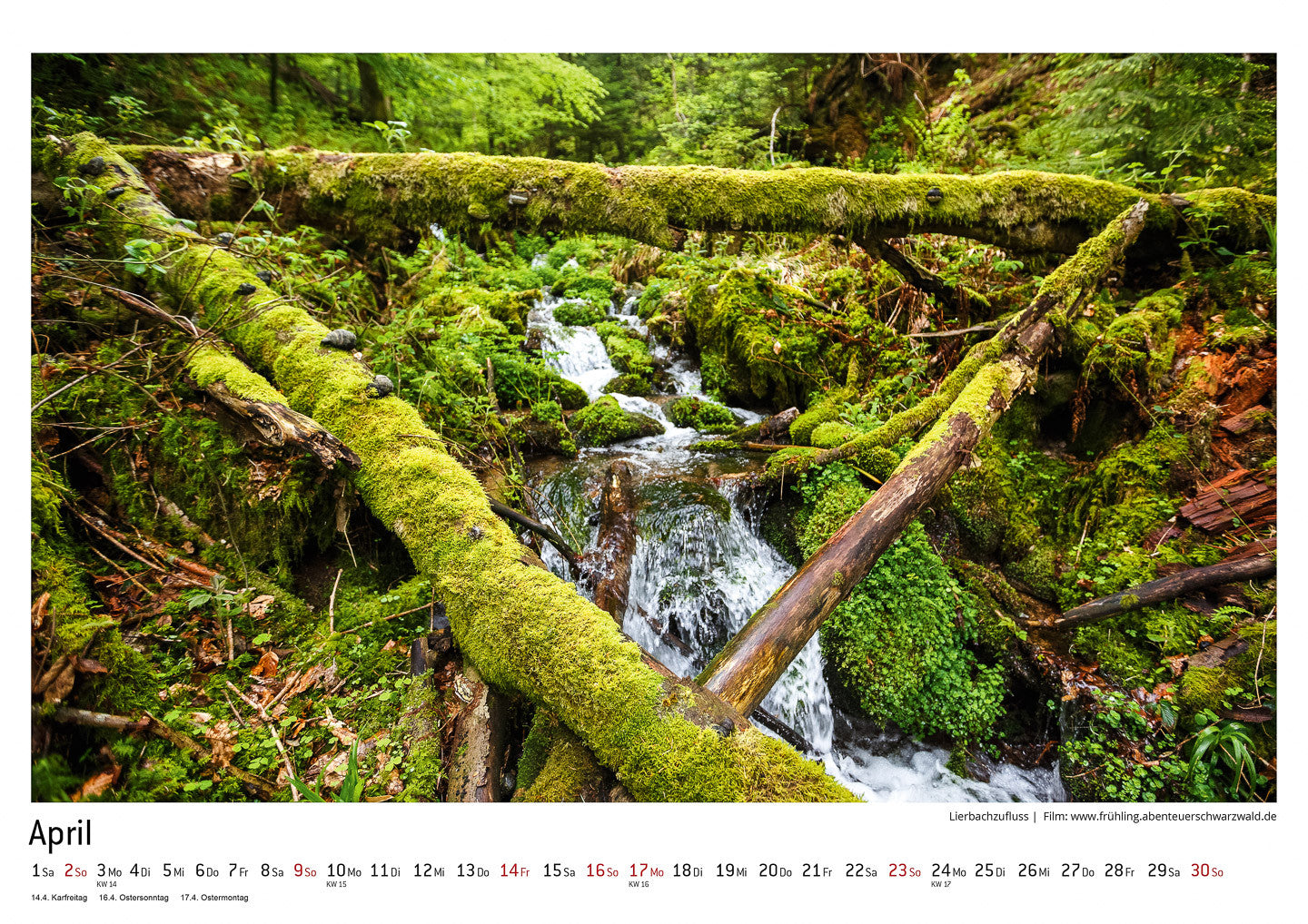 Schwarzwald Kalender 2017
