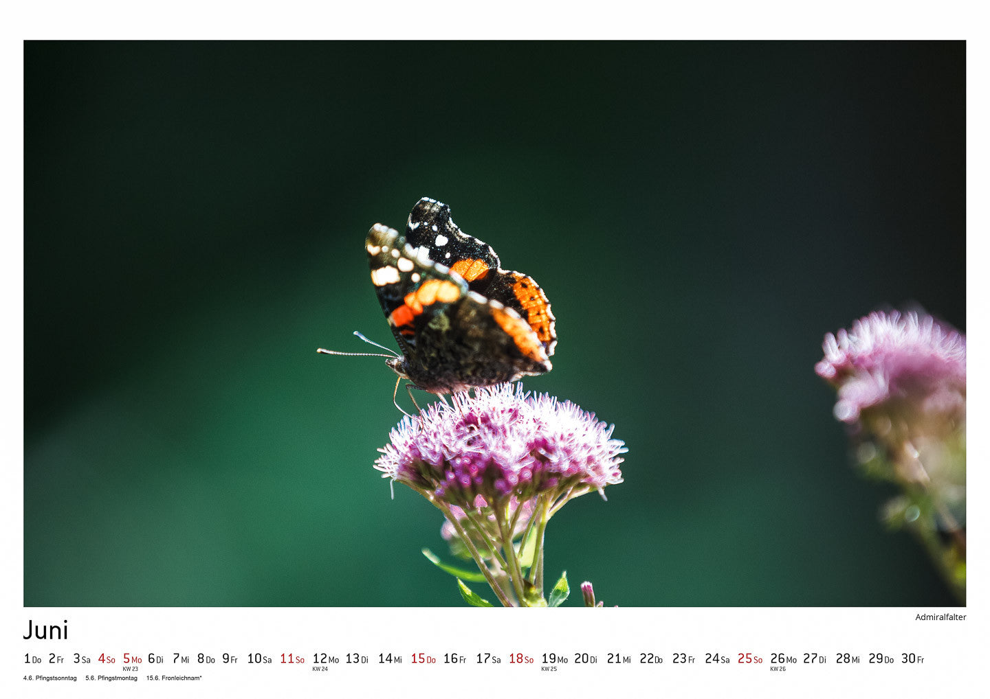 Schwarzwald Kalender 2017