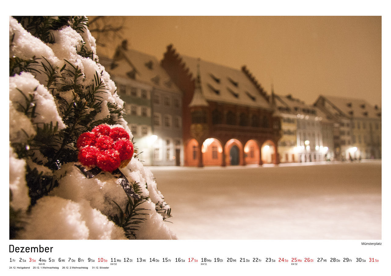 100% FREIBURG Kalender 2017