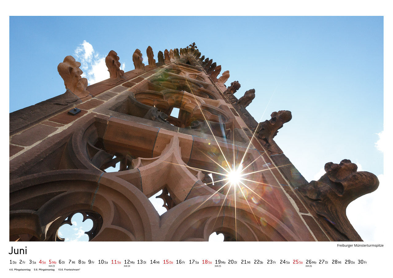 100% FREIBURG Kalender 2017