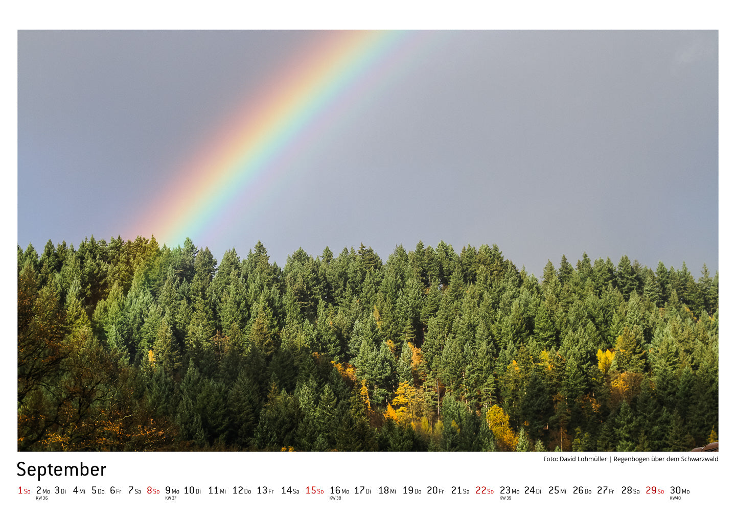 Schwarzwald Kalender 2019