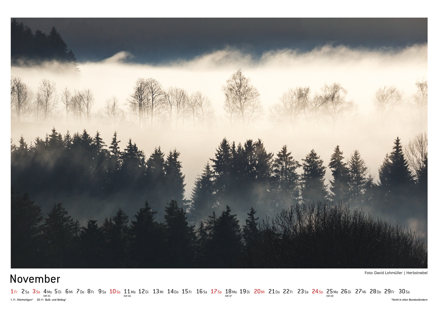 Schwarzwald Kalender 2019