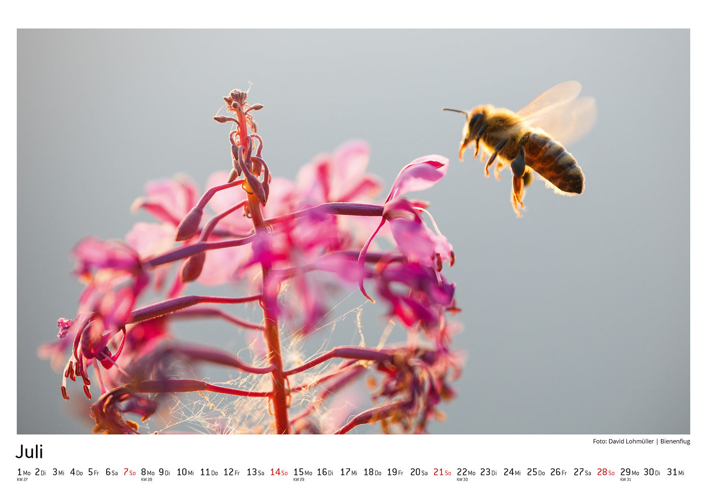 Schwarzwald Kalender 2019