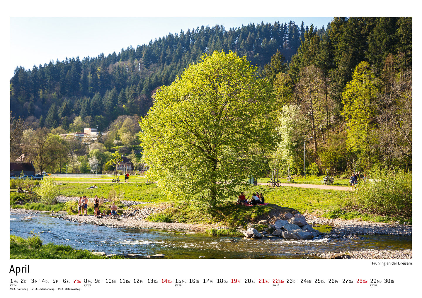 100% FREIBURG Kalender 2019