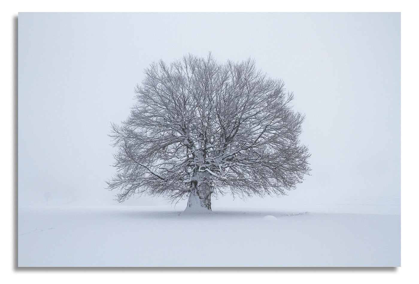 Wandbild #46