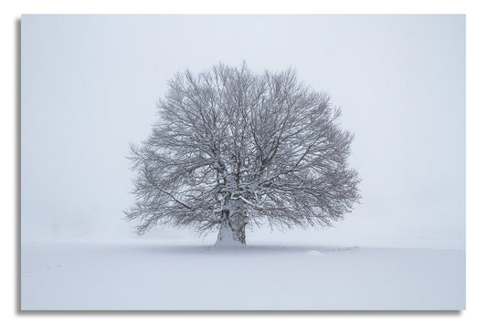 Wandbild #46
