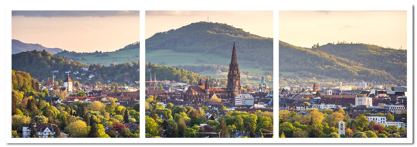 Freiburg Fotoleiste - Freiburg Panorama
