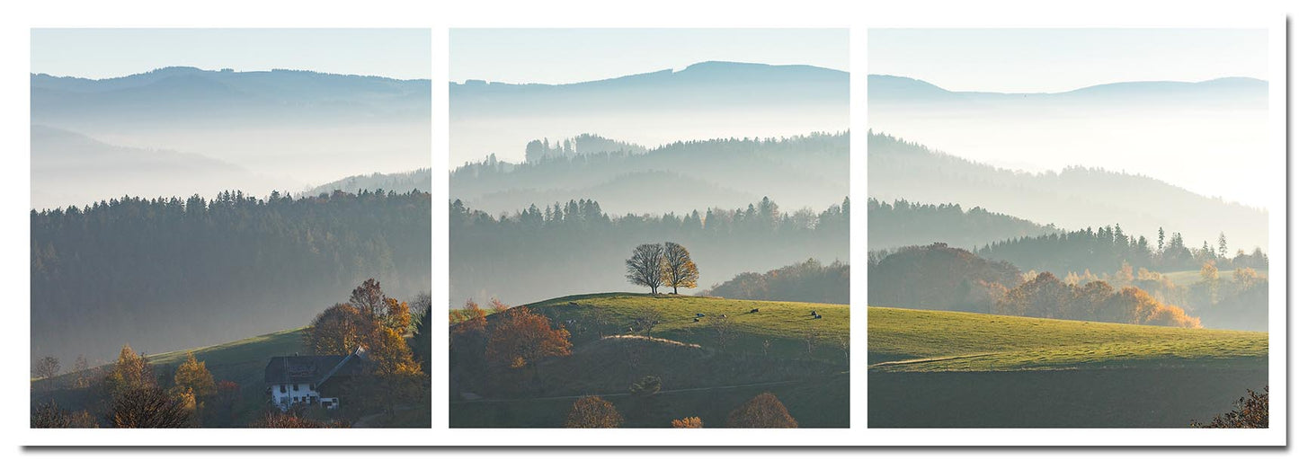 Freiburg Fotoleiste - Hochschwarzwald