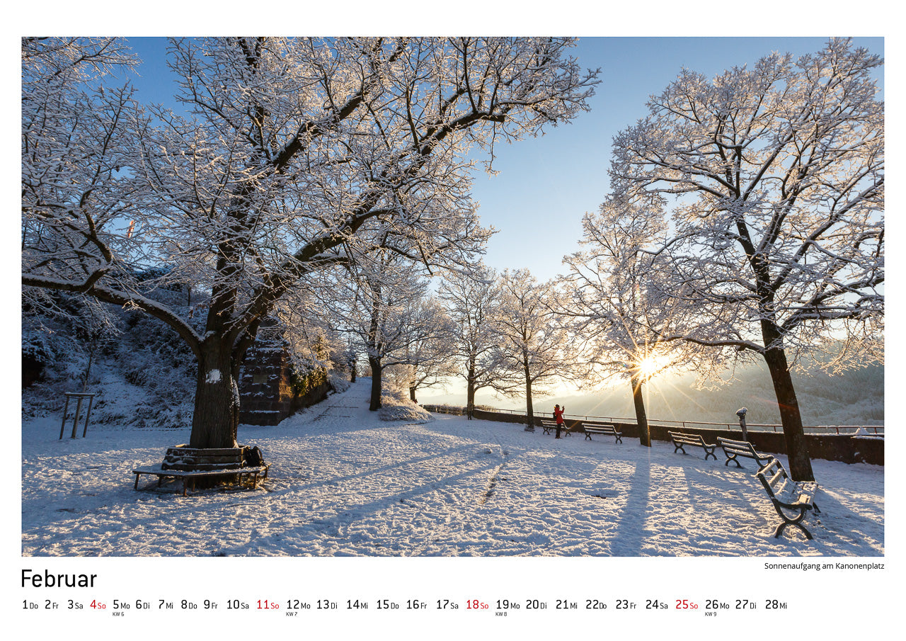 100% FREIBURG Kalender 2018