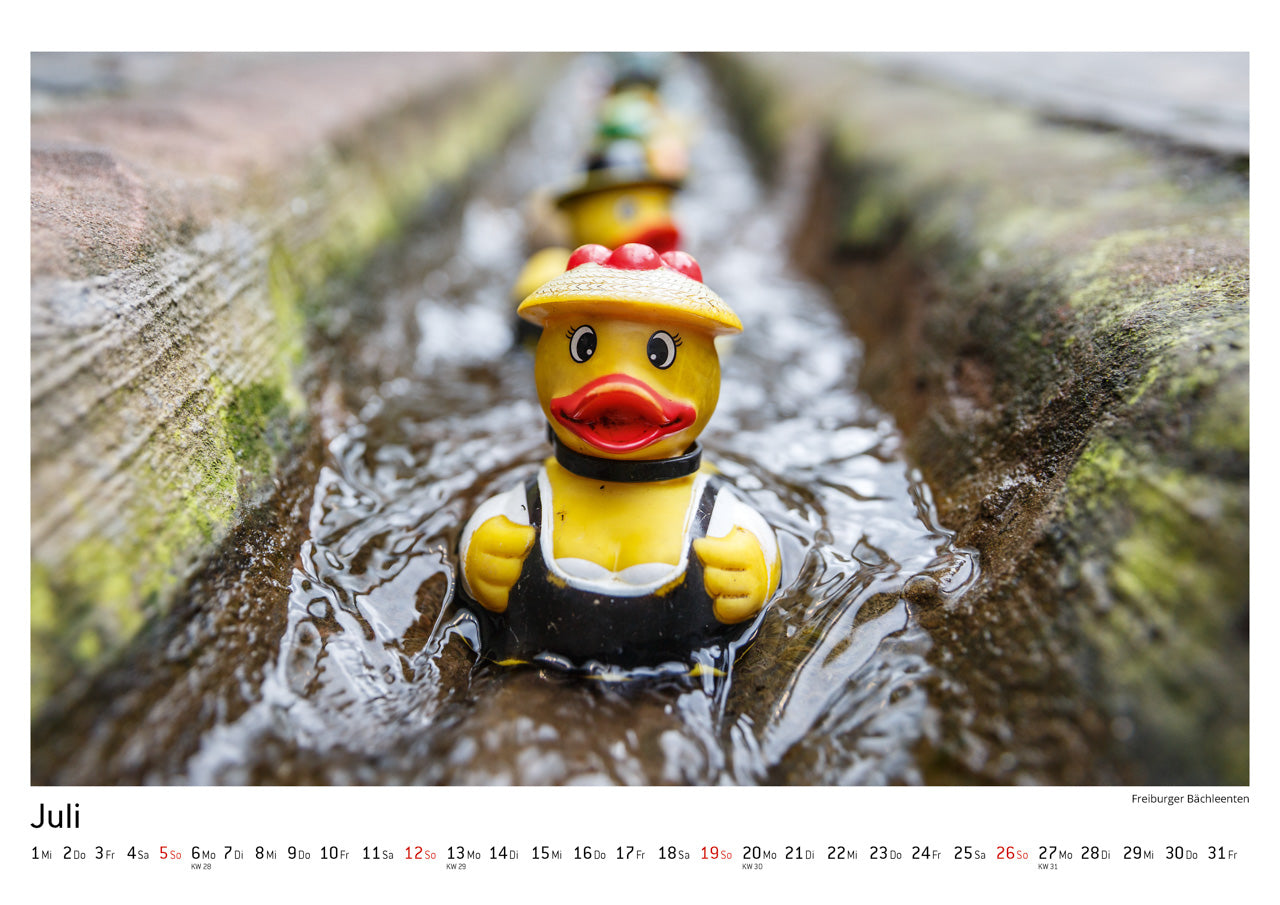 100% FREIBURG Kalender 2020