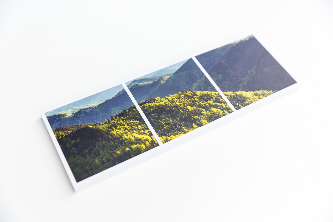 Freiburg Fotoleiste - Schwarzwald