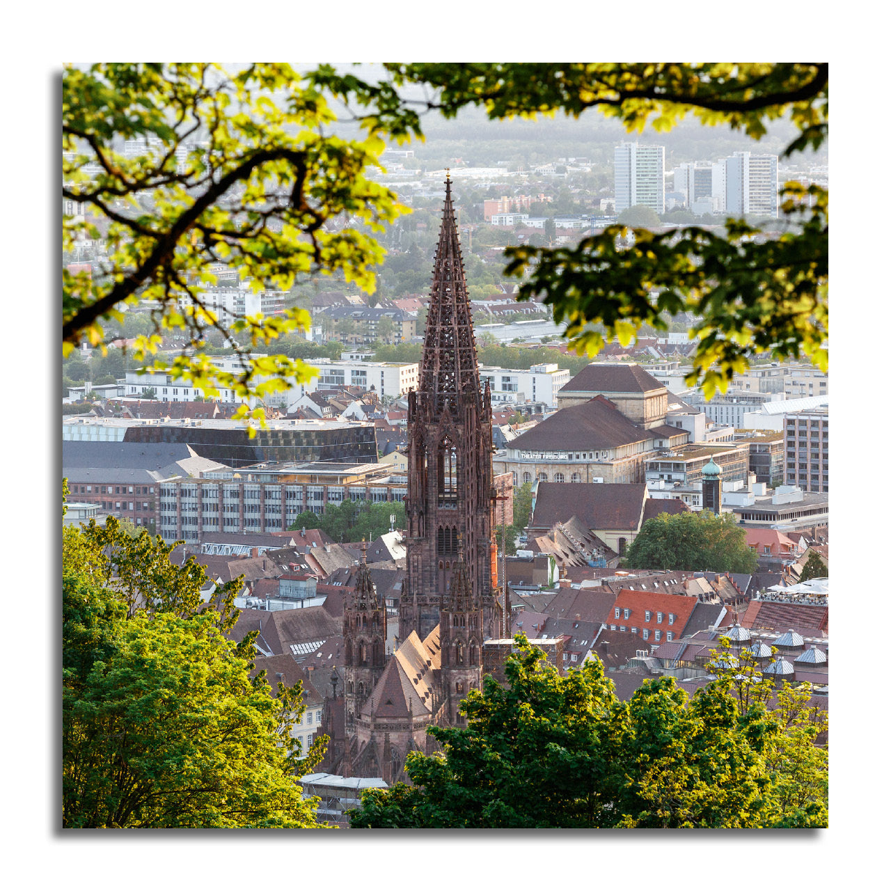 Freiburg Mini #15