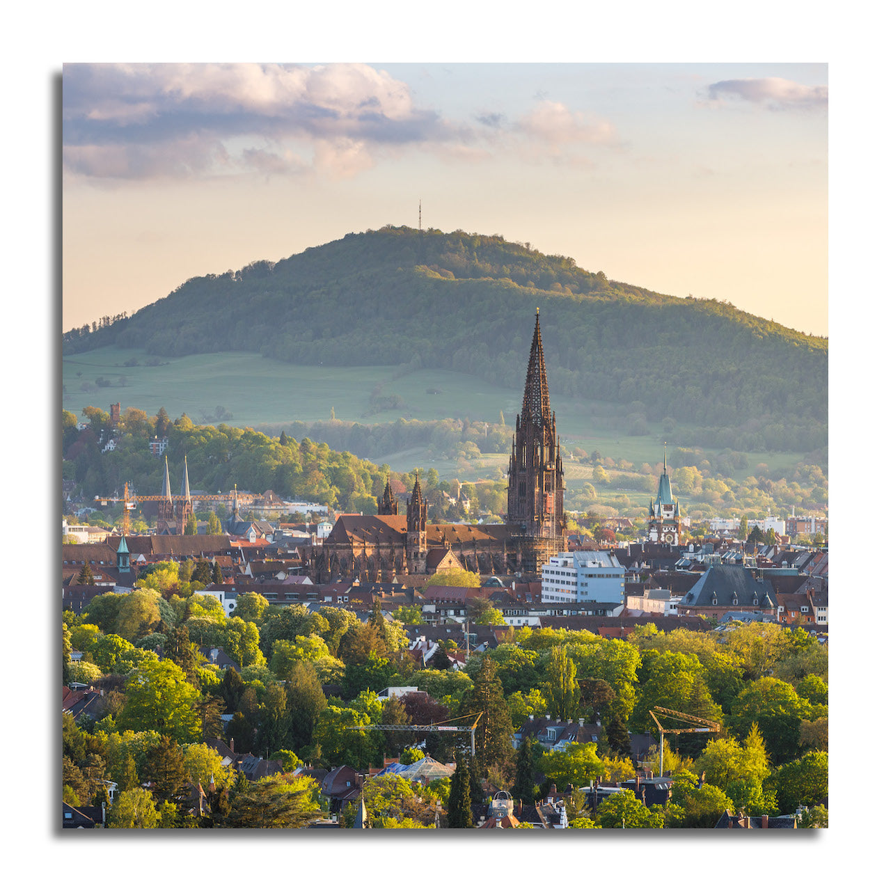 Freiburg Mini #32