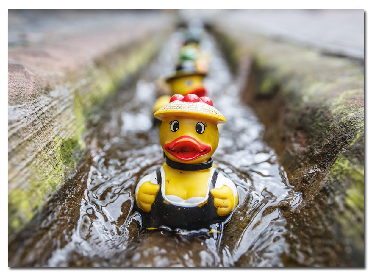 Magnet Schlüsselbrett | Bächle Enten