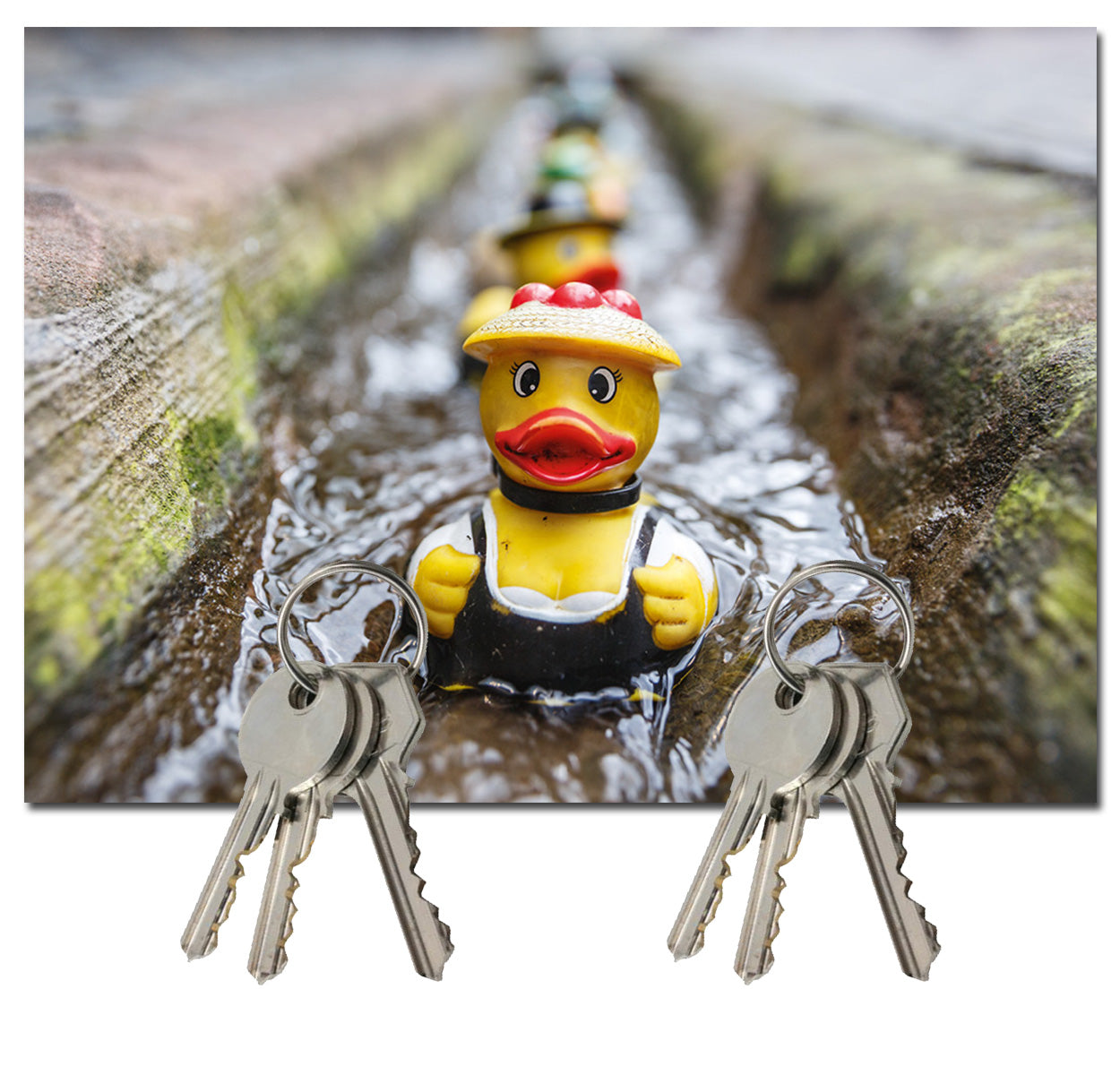 Magnet Schlüsselbrett | Bächle Enten