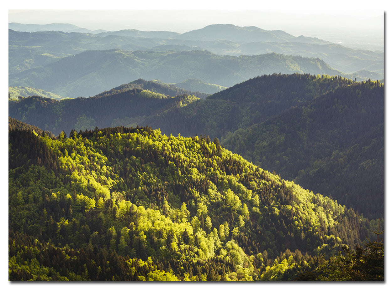 Magnet Schlüsselbrett | Schwarzwald