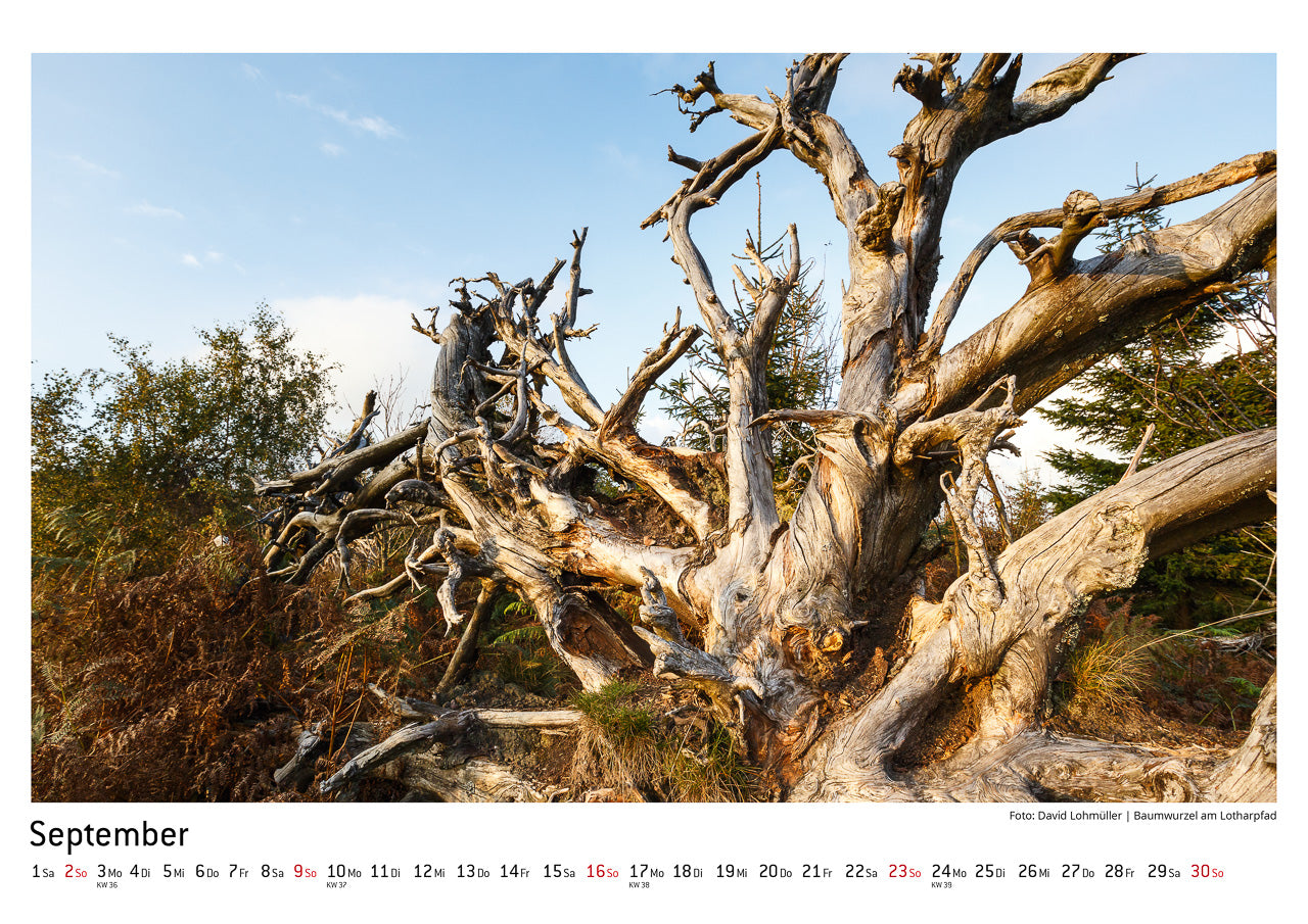 Schwarzwald Kalender 2018
