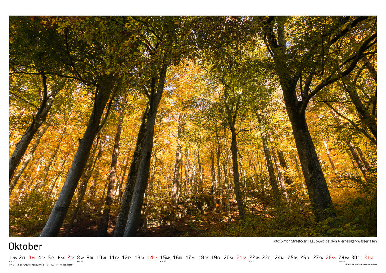 Schwarzwald Kalender 2018