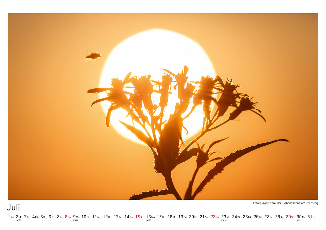 Schwarzwald Kalender 2018