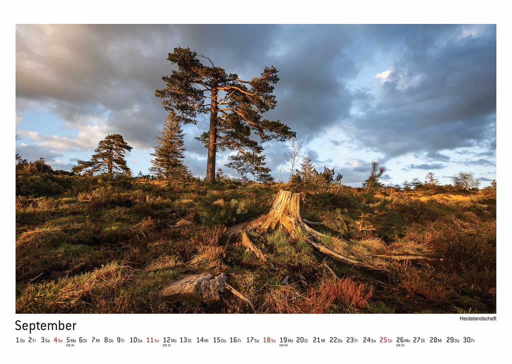 Schwarzwald Kalender 2016