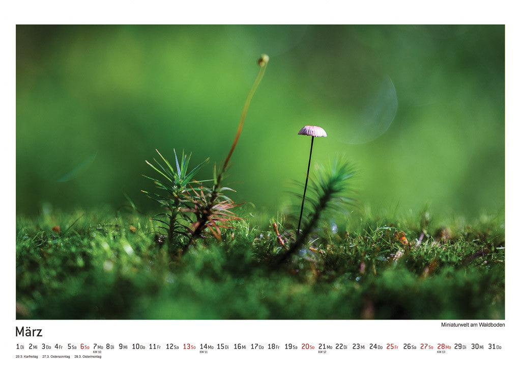 Schwarzwald Kalender 2016