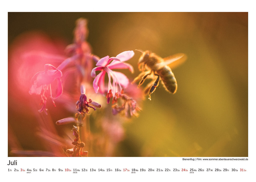 Schwarzwald Kalender 2016
