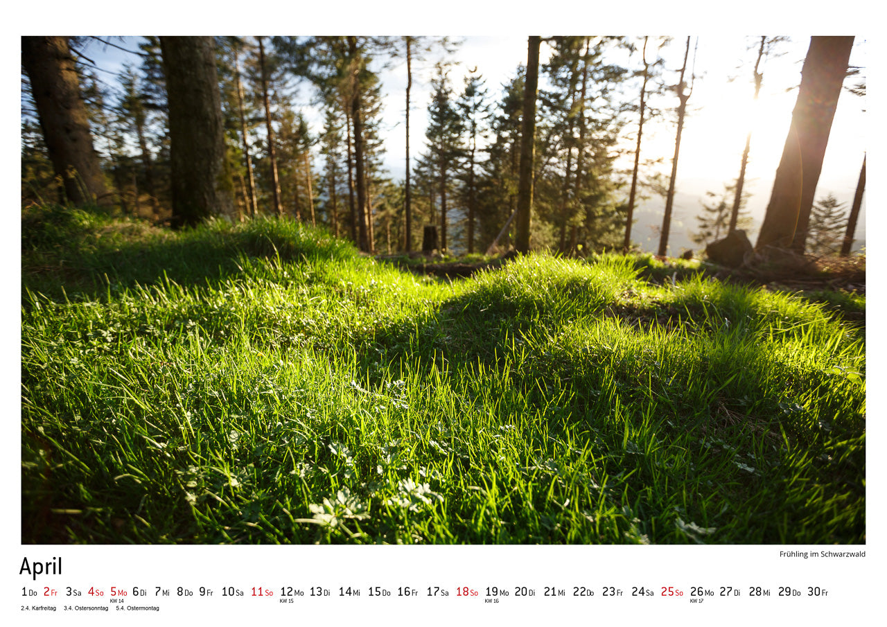 Schwarzwald Kalender 2021
