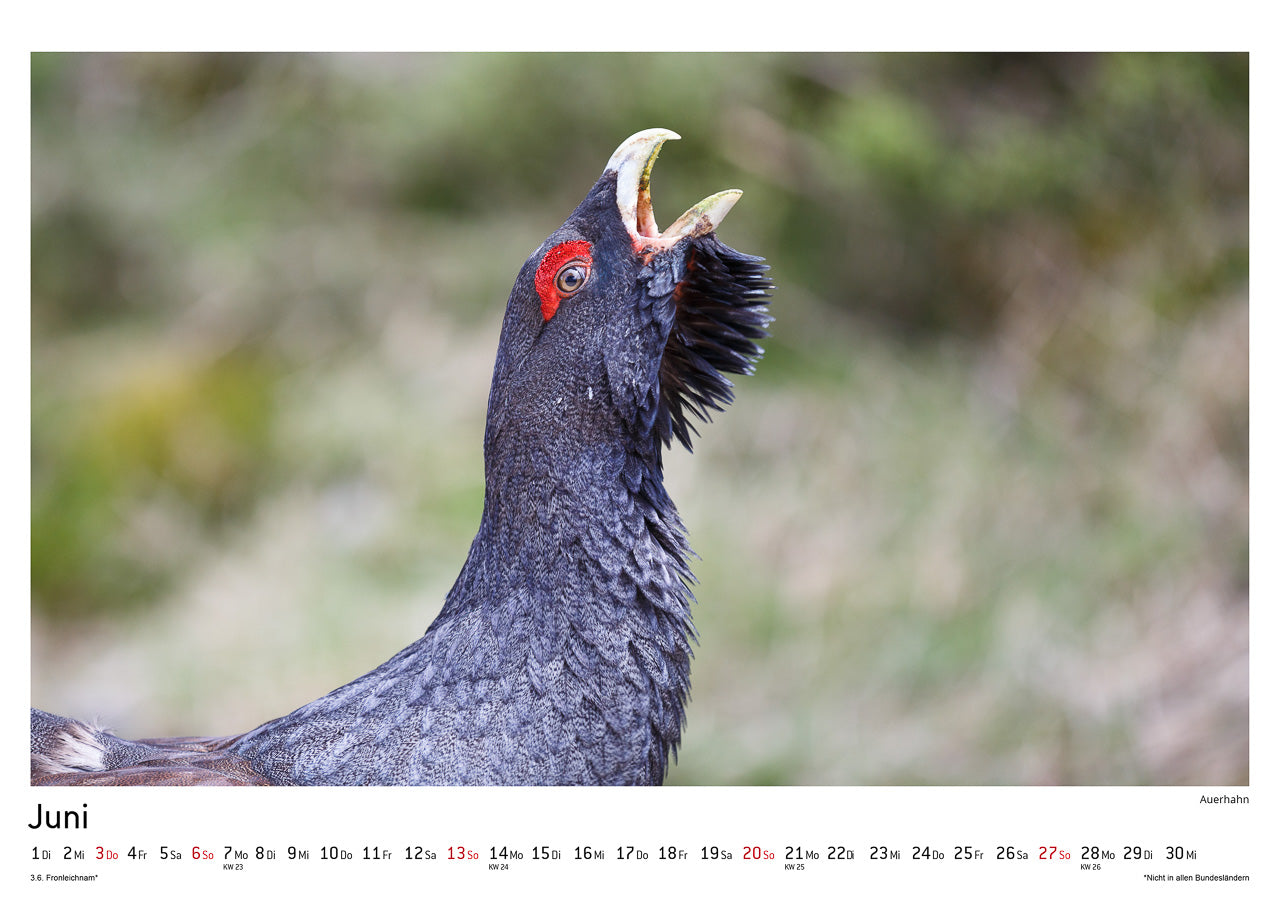 Schwarzwald Kalender 2021