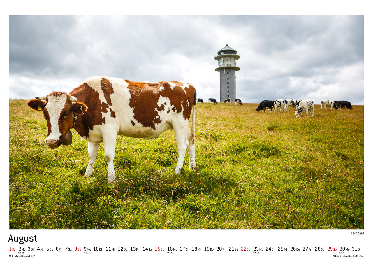 Schwarzwald Kalender 2021