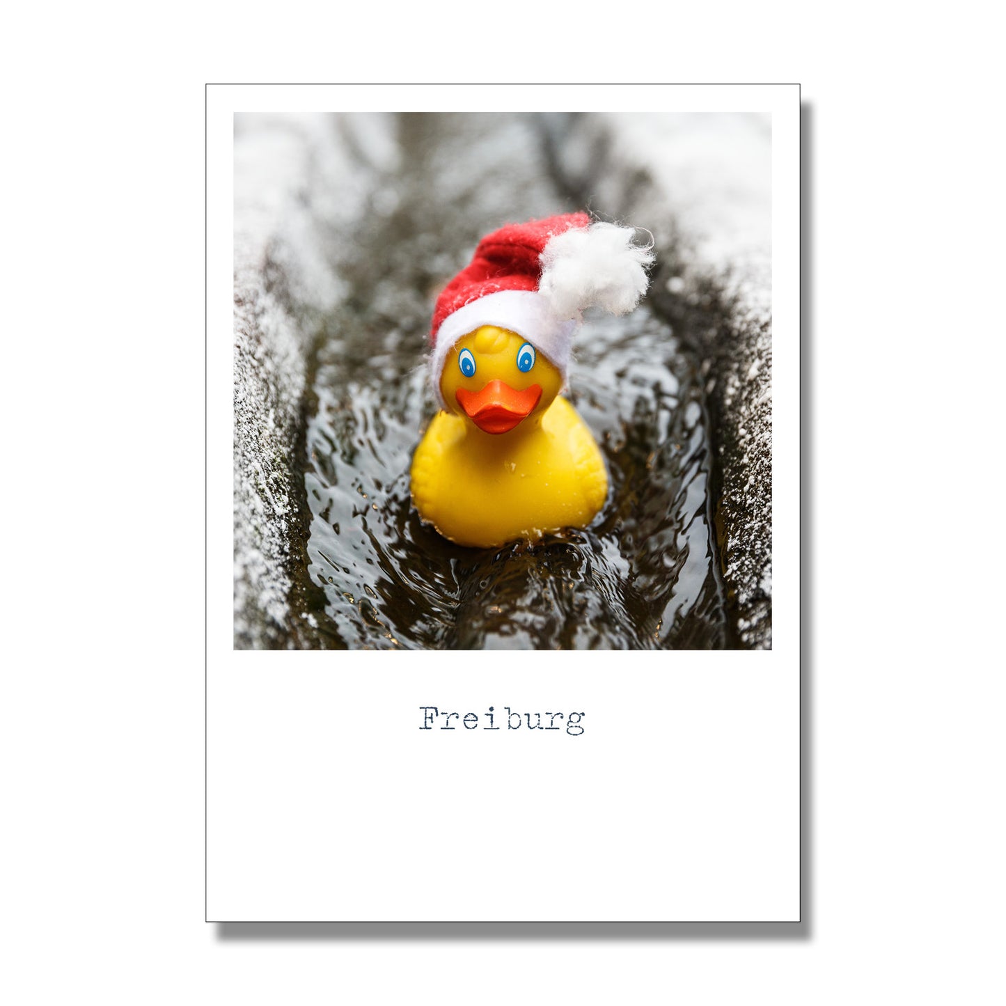 Weihnachtskarten Bächleente (10 St.)
