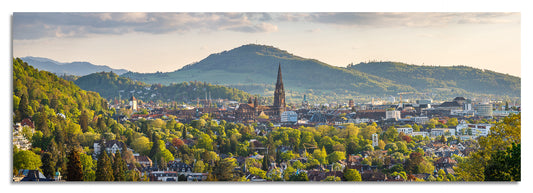Freiburg Panorama (3:1) - Bild #1