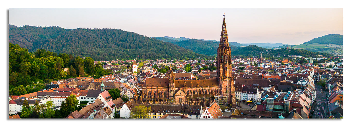 Freiburg Panorama (3:1) - Bild #10