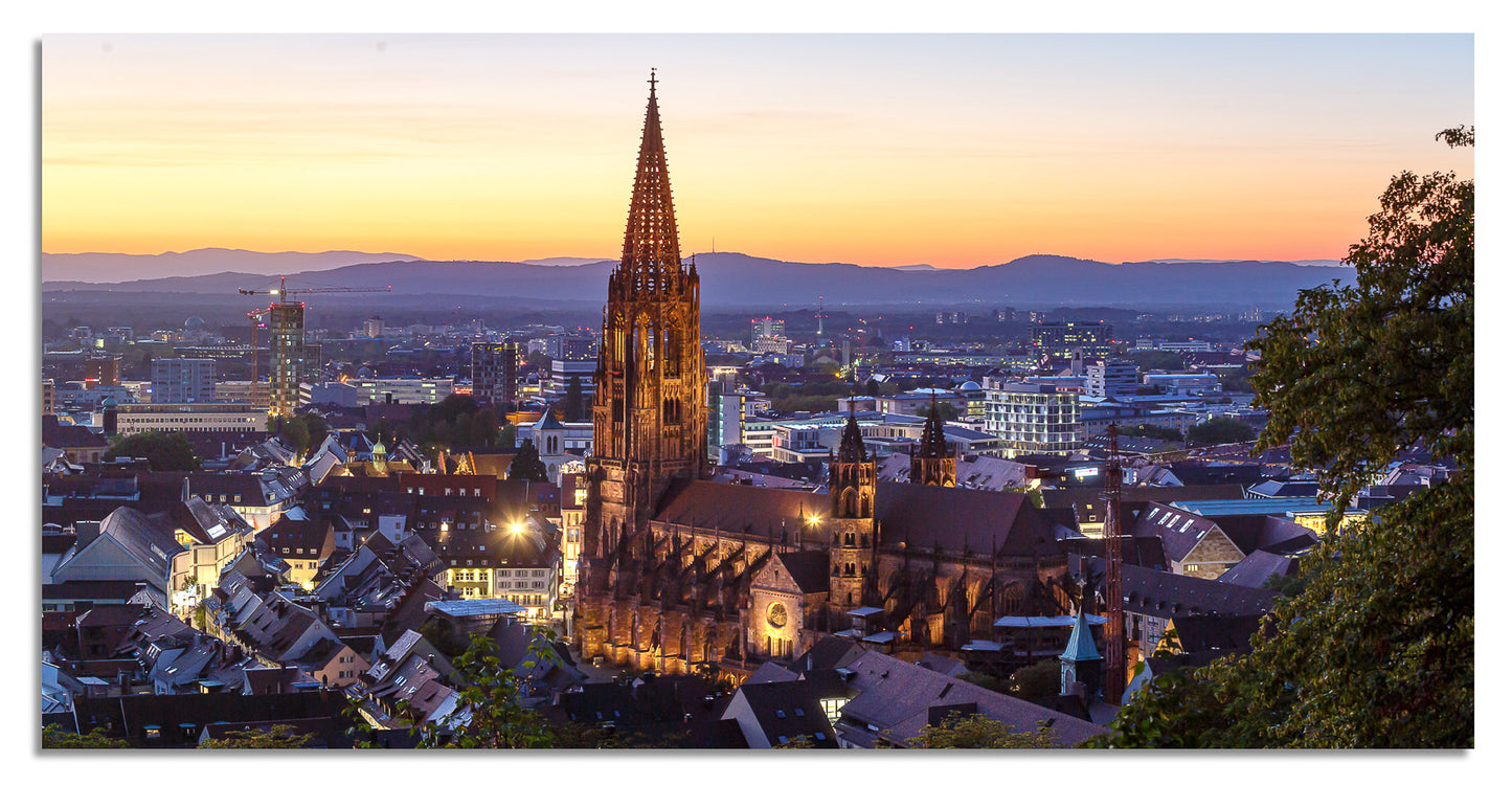 Freiburg Panorama (2:1) - Bild #12